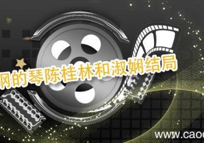 钢的琴陈桂林和淑娴结局 钢的琴淑贤和谁在一起了