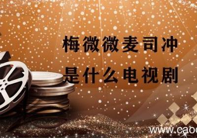 梅微微麦司冲是什么电视剧 梅微微麦司冲什么电视剧
