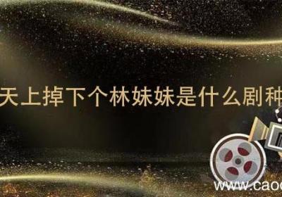 天上掉下个林妹妹是什么剧种 天上掉下个林妹妹属于什么剧