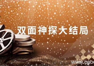 双面神探大结局 双面神探大结局是什么