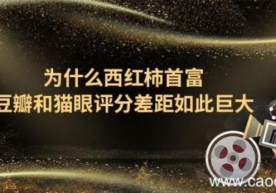 为什么西红柿首富豆瓣和猫眼评分差距如此巨大 红柿首富是什么电影