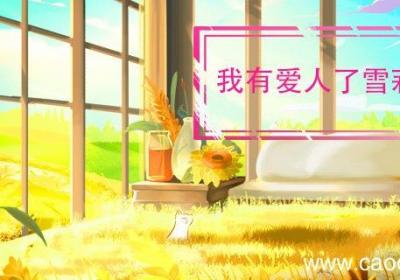我有爱人了雪莉结局 我有爱人了详细剧情简介