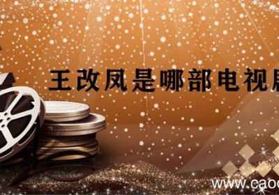 王改凤是哪部电视剧 王凤改是什么电视剧