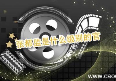 张都监是什么级别的官 张都监是什么职位