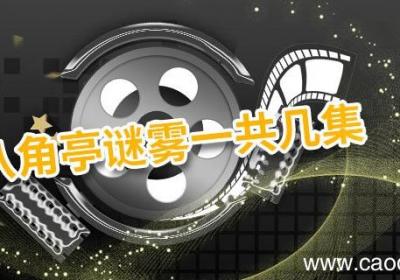 八角亭谜雾一共几集 八角亭谜雾简介