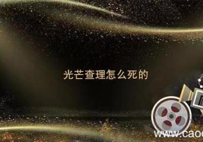 光芒查理怎么死的 电视剧光芒查理怎么死的
