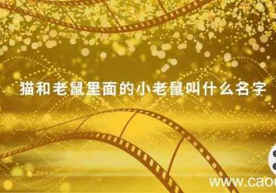 猫和老鼠里面的小老鼠叫什么名字 猫和老鼠里的小老鼠是谁