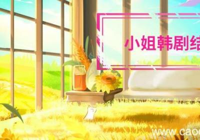 小姐韩剧结局 小姐韩剧最后的结局