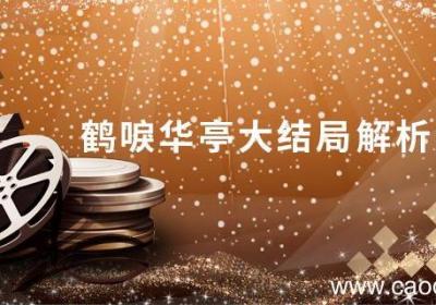 鹤唳华亭大结局解析 鹤唳华亭大结局什么意思