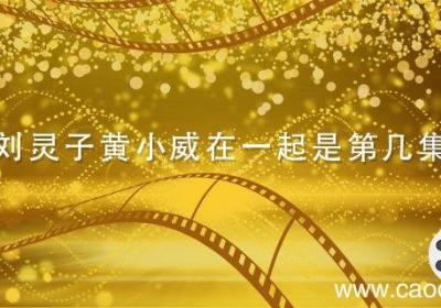 刘灵子黄小威在一起是第几集 黄小威和刘灵子在第几集在一起的