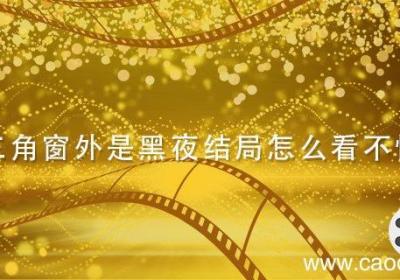 三角窗外是黑夜结局怎么看不懂 三角窗外是黑夜剧情介绍