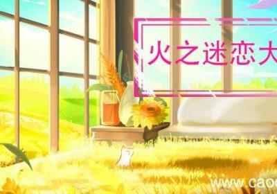 火之迷恋大结局 火之迷恋大结局是什么
