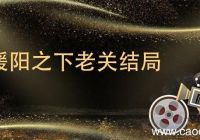 暖阳之下老关结局 暖阳之下的老关全名叫什么