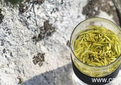 上饶有哪些名茶 上饶茶叶