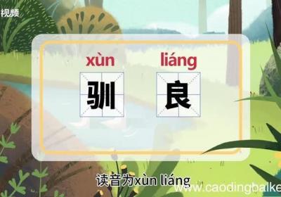 驯良的意思 驯良的意思是什么