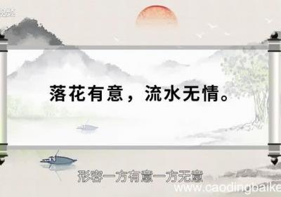 落花有意流水无情什么意思落花有意流水无情的意思