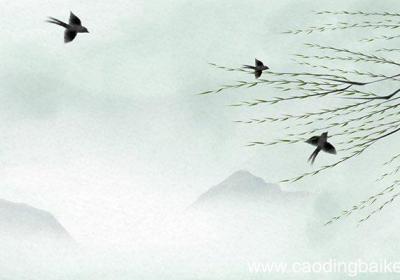 燕子一课从哪三个方面描述了燕子燕子一课描述了燕子 的哪三方面