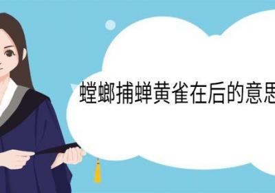 螳螂捕蝉黄雀在后的意思怎么解释