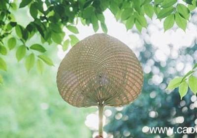夏天的比喻句 夏天的比喻句有哪些