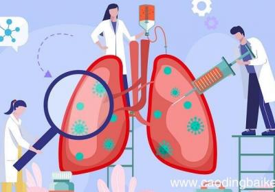 肺泡适于与血液进行气体交换的特点是 肺泡适于与血液进行气体交换的特点是什么