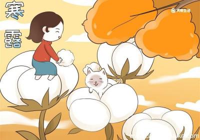 寒露节气儿童简笔画 寒露节气儿童简笔画简单