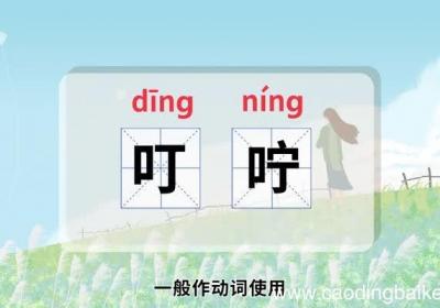 叮咛的意思 叮咛是什么意思