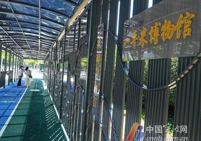 如期上线！鄞州新增14条“最美上学路”