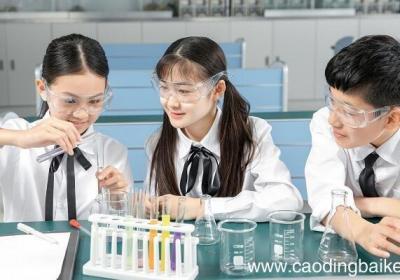 苯酚和氢氧化钠反应 苯酚和氢氧化钠反应是什么