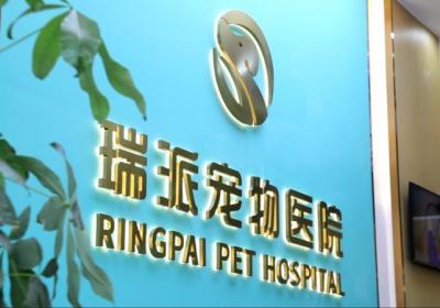 2025瑞派短视频大赛启动！展现你的隐藏萌宠魅力
