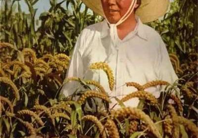 毛主席以数为据的领导方法