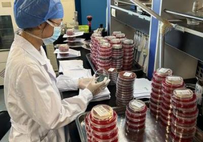 事关海鲜！宁波多人中招 医生紧急提醒