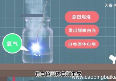 镁在空气和氧气中燃烧的区别 镁在空气和氧气中燃烧有什么区别