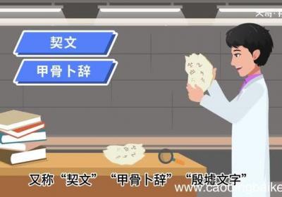 甲骨文和象形文字的区别 甲骨文和象形文字有什么区别