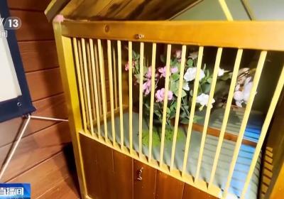 250多年前有人做了“中国植物笔记” 还是双语版？一探究竟