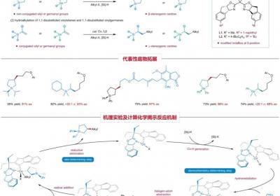 中国科大在碳-碳偶联合成手性有机硅烷方面取得进展