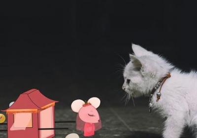 猫和老鼠的故事说明什么道理 猫和老鼠告诉我们什么道理