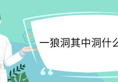 一狼洞其中洞什么意思 一狼洞其中洞的意思