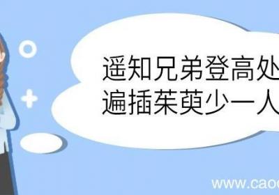 遥知兄弟登高处遍插茱萸少一人翻译 遥知兄弟登高处遍插茱萸少一人的翻译
