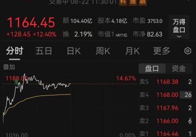寒武纪、海光信息领跑，多家AI芯片厂商适配DeepSeek模型