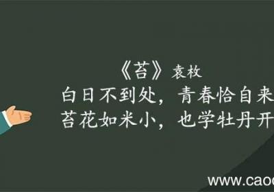 苔古诗的意思翻译 苔古诗的意思