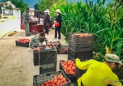 云南全力推进“四好农村路”建设 助力乡村振兴
