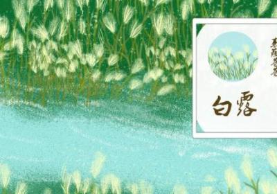蒹葭翻译及赏析蒹葭原文