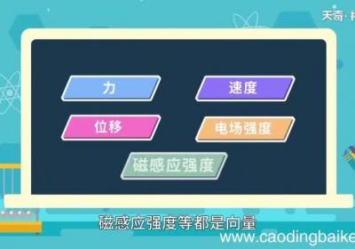 速度是矢量吗 速度是矢量还是标量
