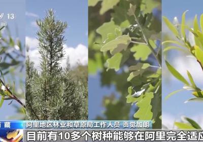 辉煌60载 魅力新西藏丨城市微更新 卫星视角看变化