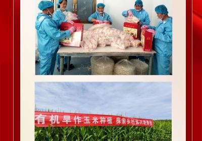 代表图说 | 姚风仙：助力乡村振兴 认真履职尽责