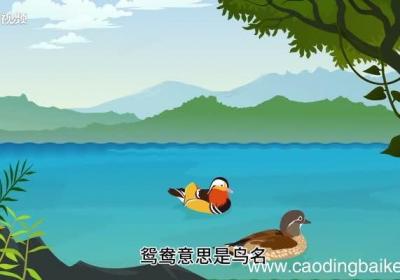 鸳鸯的意思 鸳鸯的意思是什么