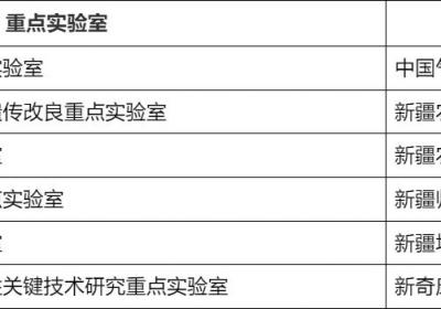 2025年度新疆重点实验室验收评估结果公示