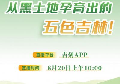 直播预告丨一起逛农博：从黑土地孕育出的五色吉林！