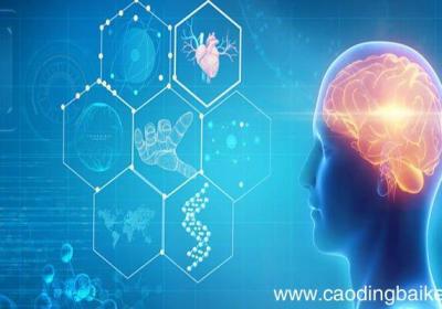 惯性思维又称为什么，惯性思维别名是什么