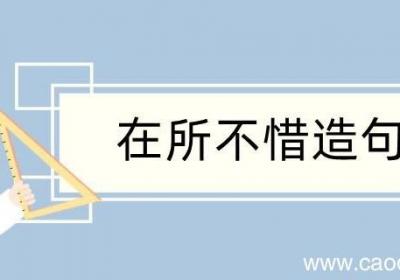 在所不惜造句 在所不惜造句咋写